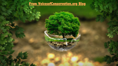 Voicesofconservations.org