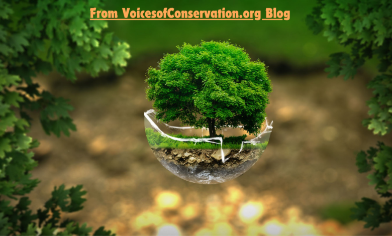 Voicesofconservations.org