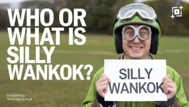 Silly Wankok