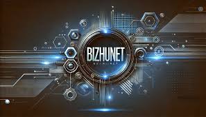 Bizhunet