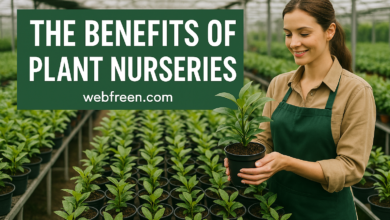 the Benefits of Plant Nurseries Webfreen.com health benefits daily life healthy plants nurseries benefits