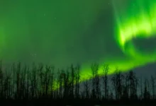 Northern Lights Tonight