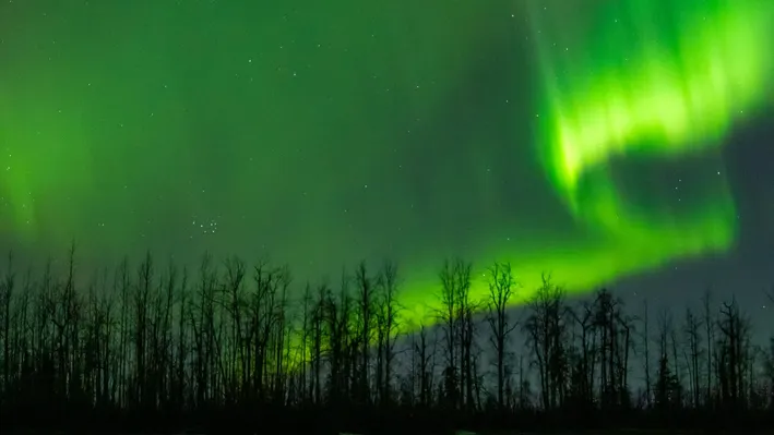 Northern Lights Tonight